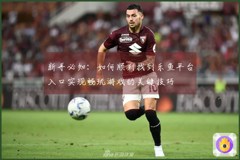 新手必知：如何顺利找到乐鱼平台入口实现畅玩游戏的关键技巧