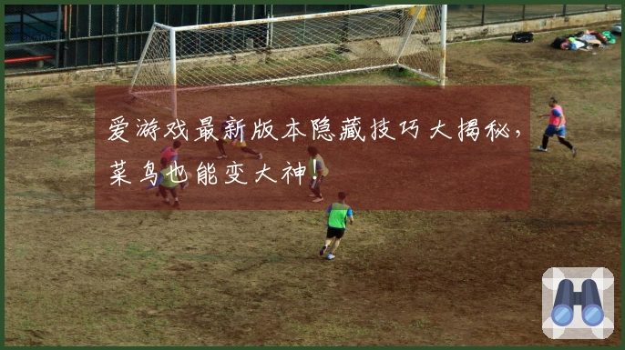 爱游戏最新版本隐藏技巧大揭秘，菜鸟也能变大神！