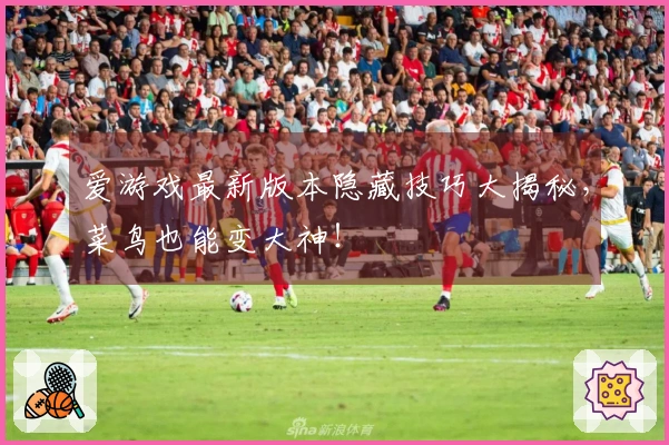 爱游戏最新版本隐藏技巧大揭秘，菜鸟也能变大神！