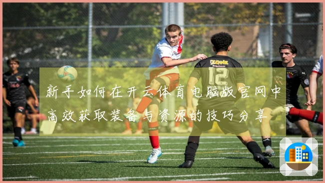 新手如何在开云体育电脑版官网中高效获取装备与资源的技巧分享